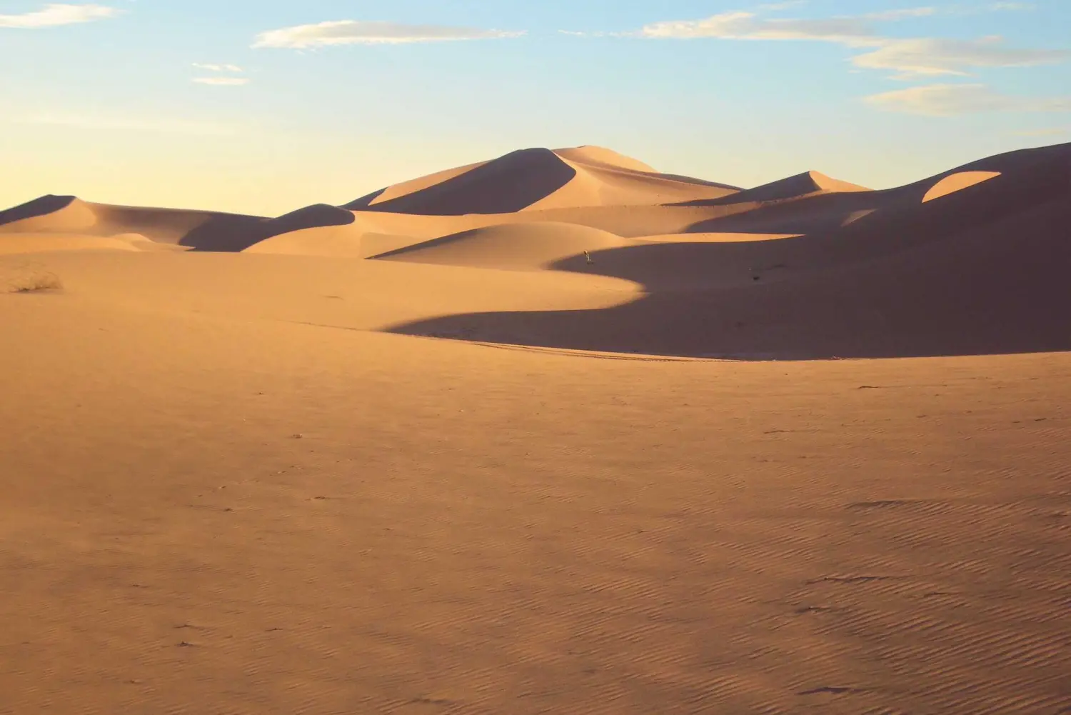 Caravane de Rêve – Wüste