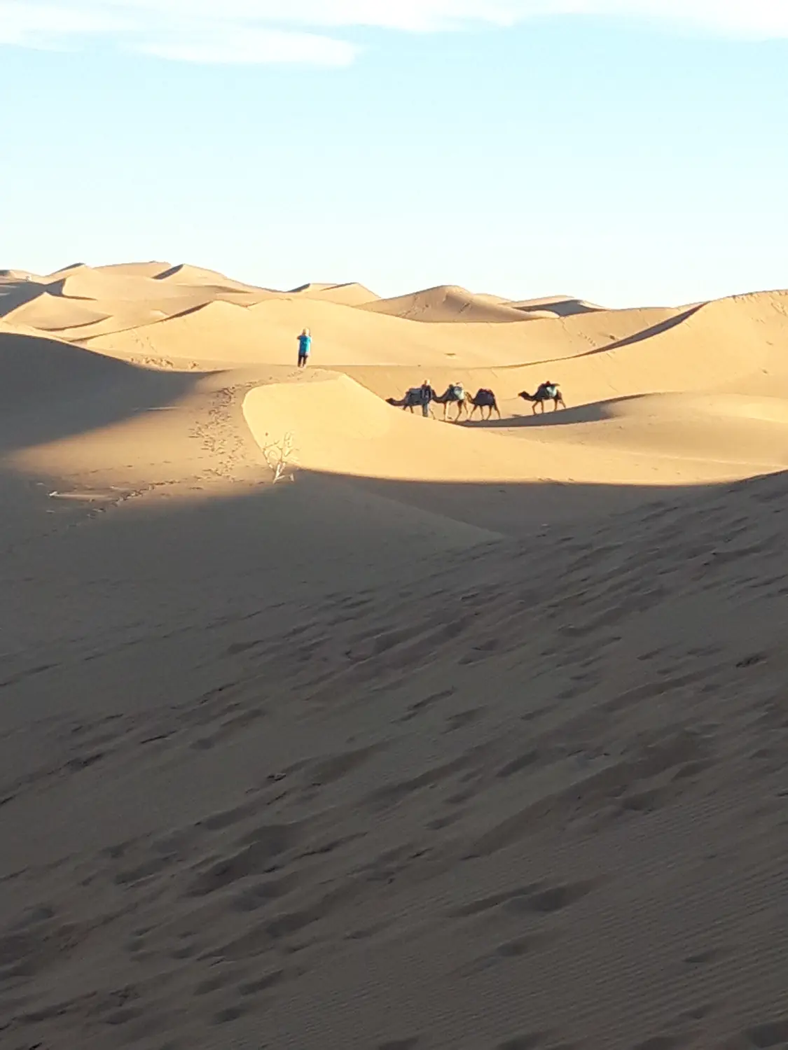 Caravane de Rêve – Höhepunkte der Wüstentour