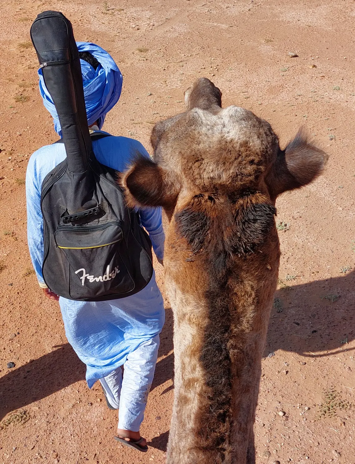 Caravane de Rêve – Höhepunkte der Wüstentour