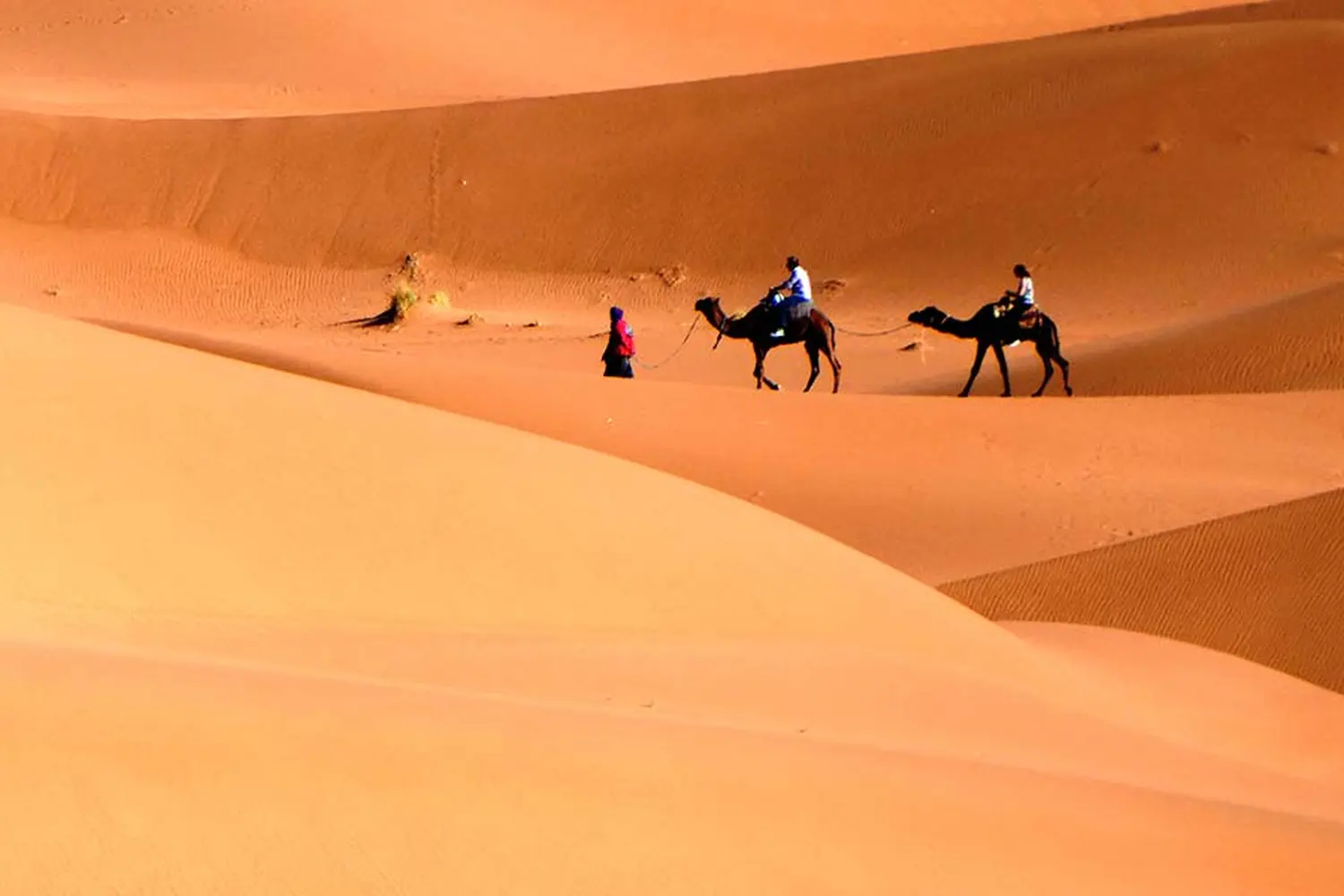 Caravane de Rêve – Kamelsafari durch die Wüste