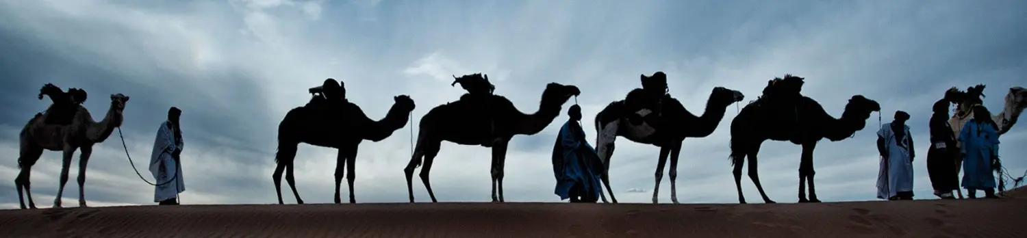 Caravane de Rêve – Kamelsafari durch die Wüste