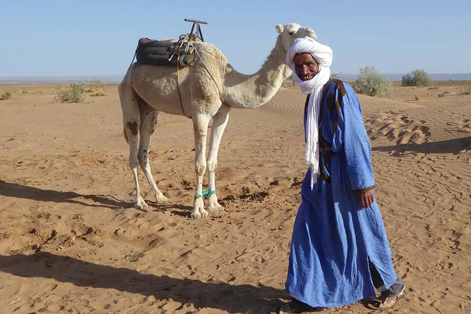 Caravane de Rêve – Kamel und Mensch