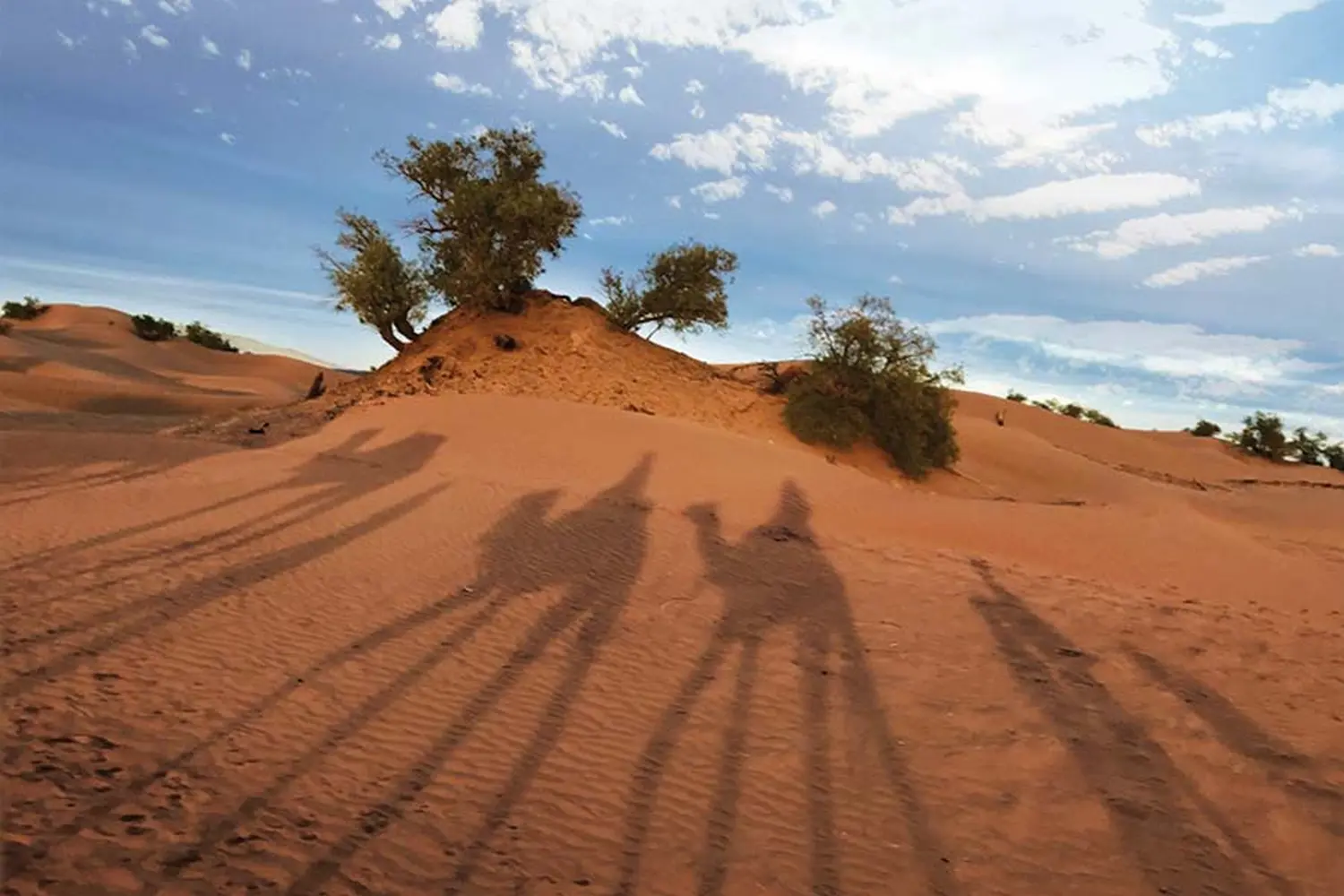 Caravane de Rêve – Höhepunkte der Tour durch Marrakesch