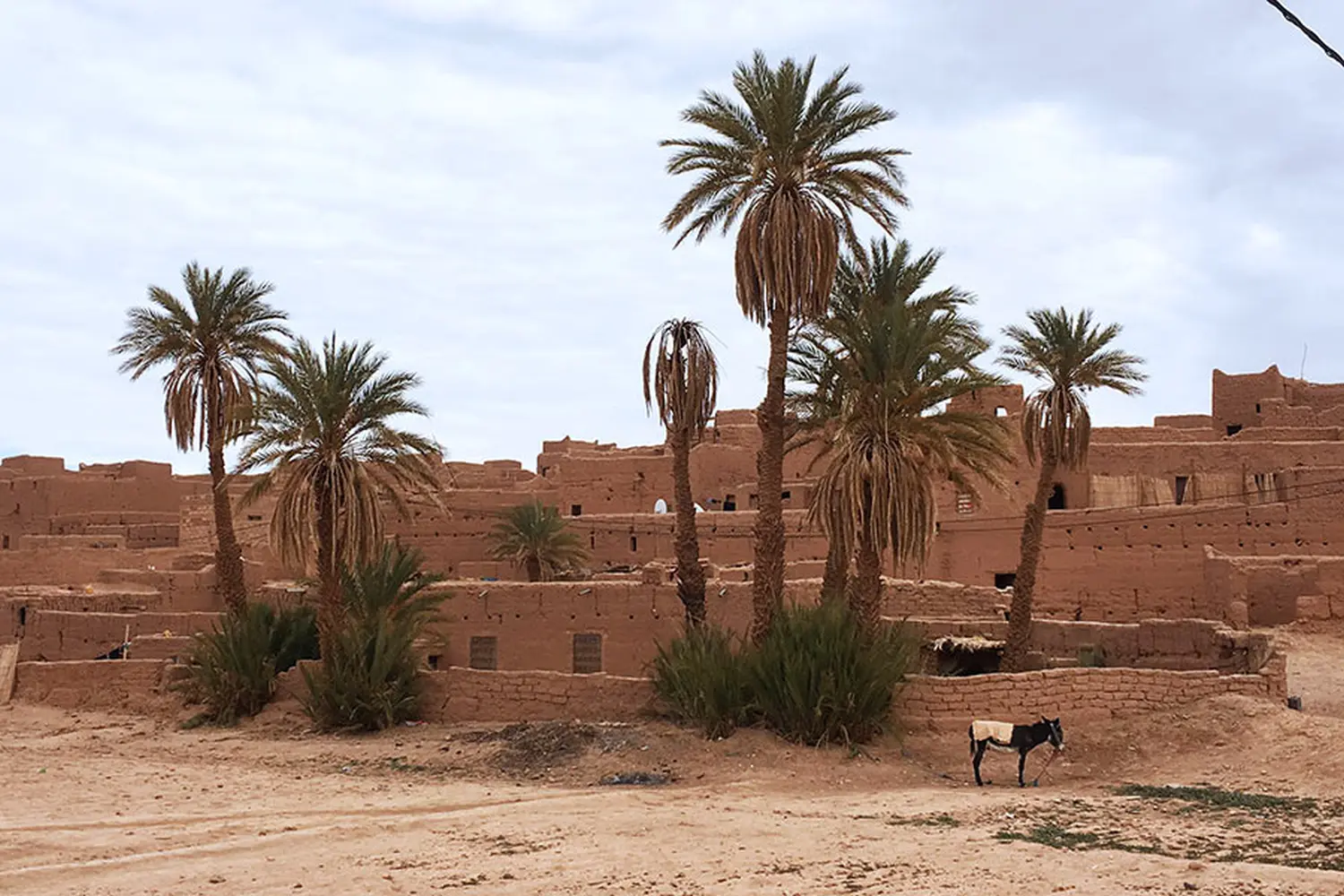 Caravane de Rêve – Wüstentouren ab Fès