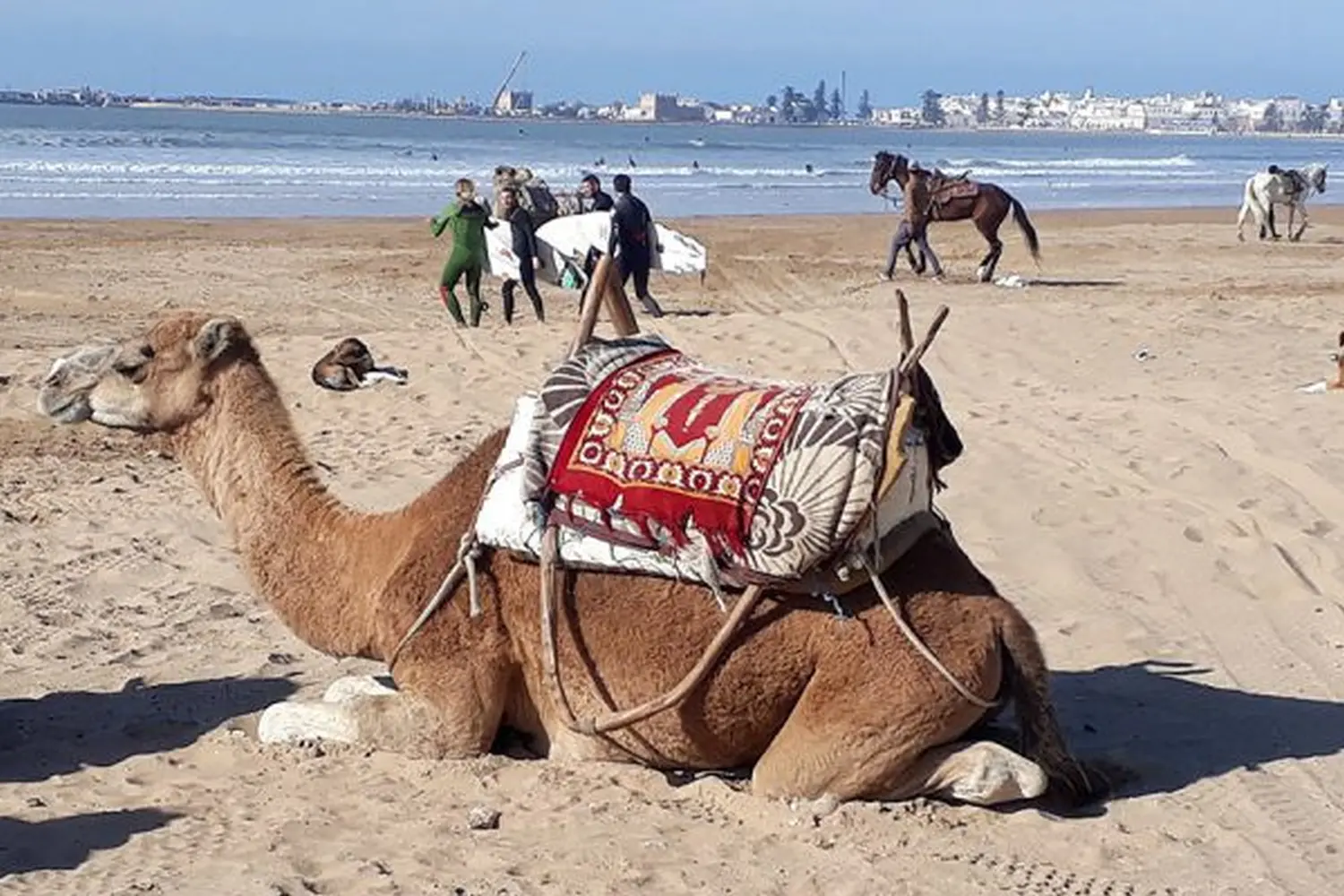 Caravane de Rêve – Wüstentouren ab Agadir