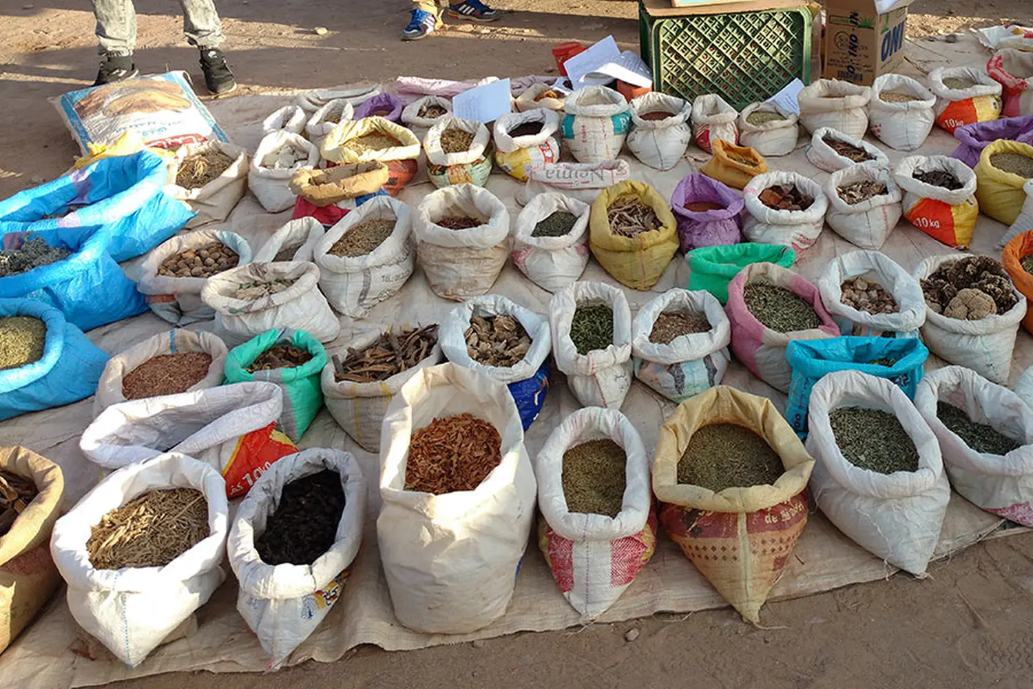 Caravane de Rêve – Wüstentouren ab Agadir