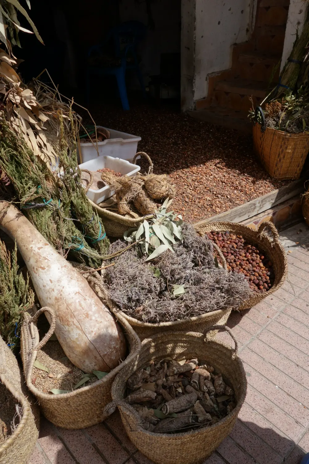 Caravane de Rêve – Herbs
