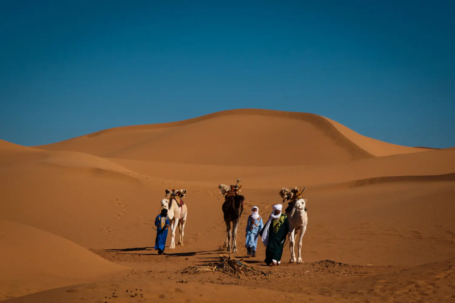 Caravane de Rêve – Kamelsafari durch die Wüste