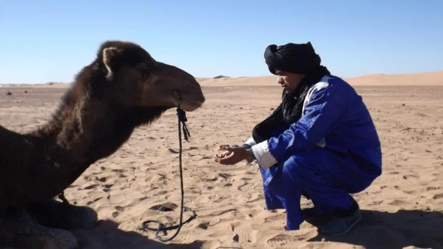 Caravane de Rêve – Mann mit Kamel