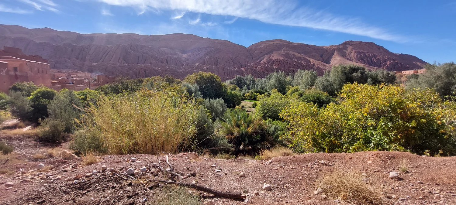 Caravane de Rêve – Wüstentouren ab Agadir