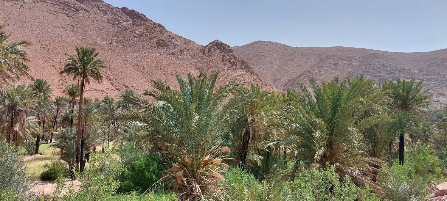 Caravane de Rêve – Höhepunkte der Tour durch Marrakesch