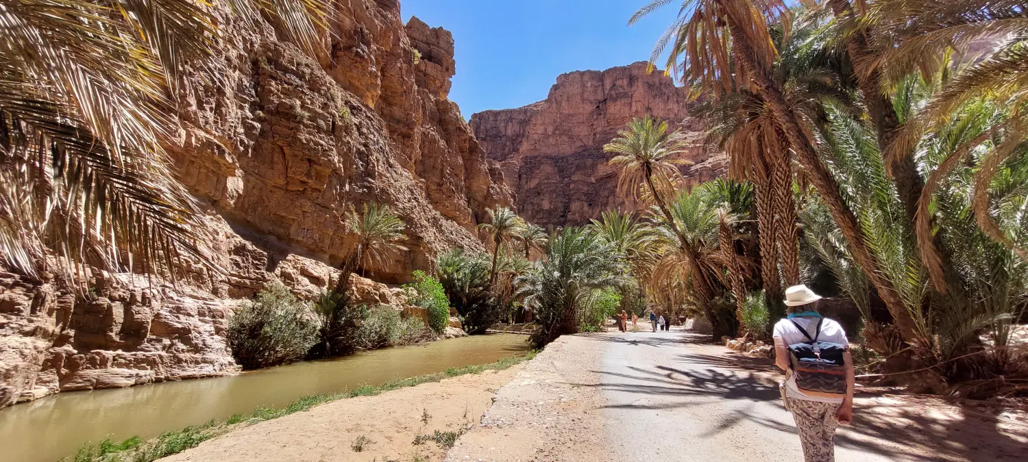 Caravane de Rêve – Tour zu den Höhepunkten der Wüste