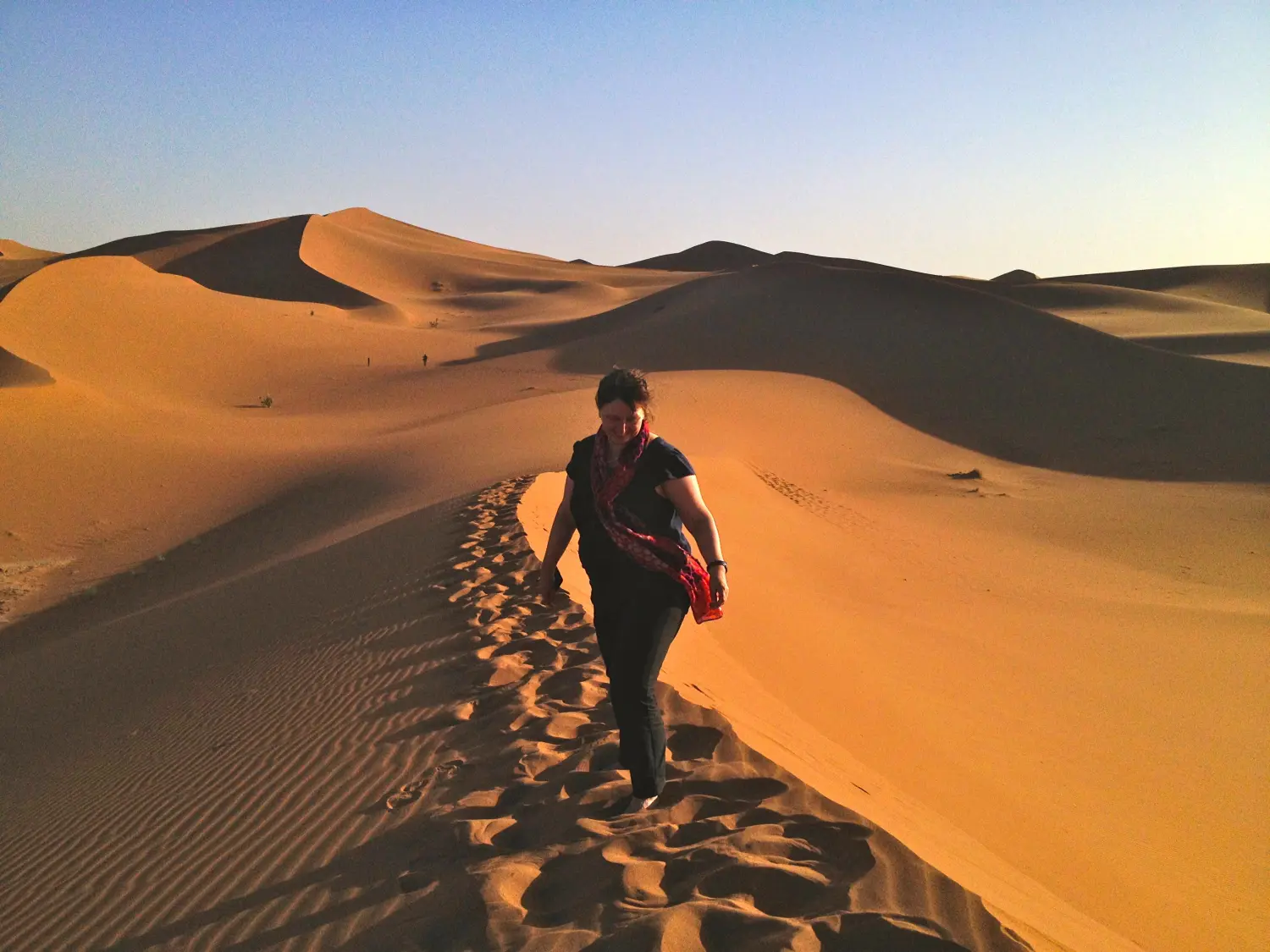 Caravane de Rêve – Wüste