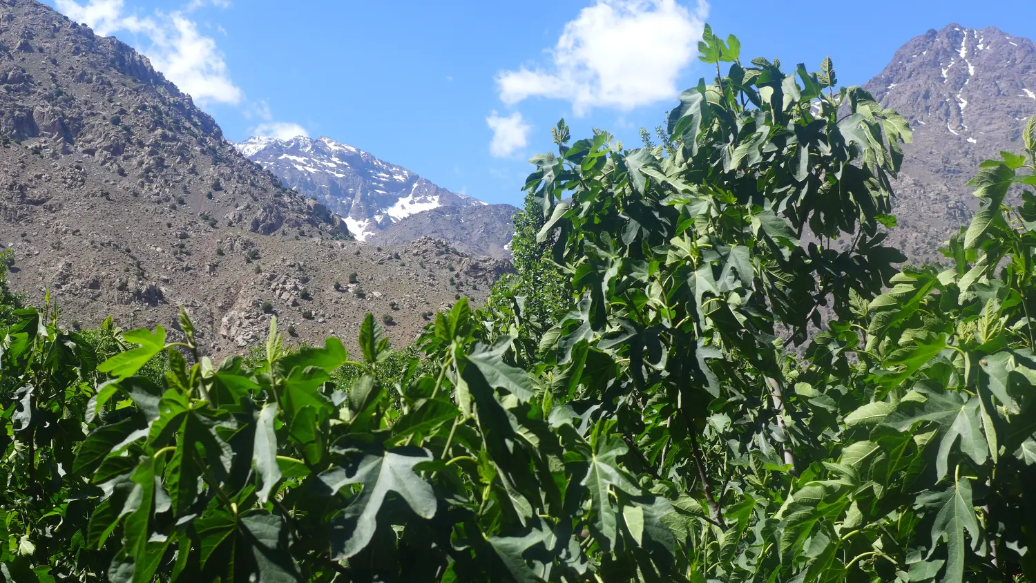 Caravane de Rêve – Mountain trekking in the High Atlas