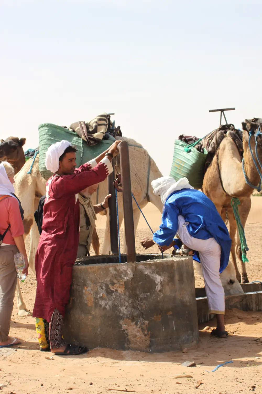 Caravane de Rêve – Kameltrinkwasser