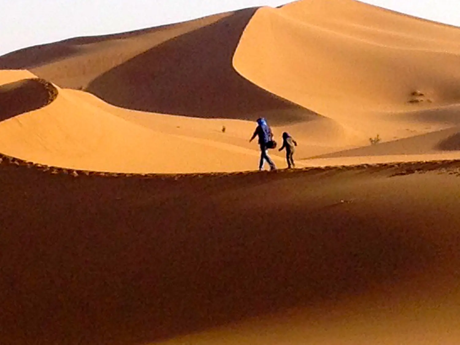 Caravane de Rêve – Höhepunkte der Tour durch Marrakesch