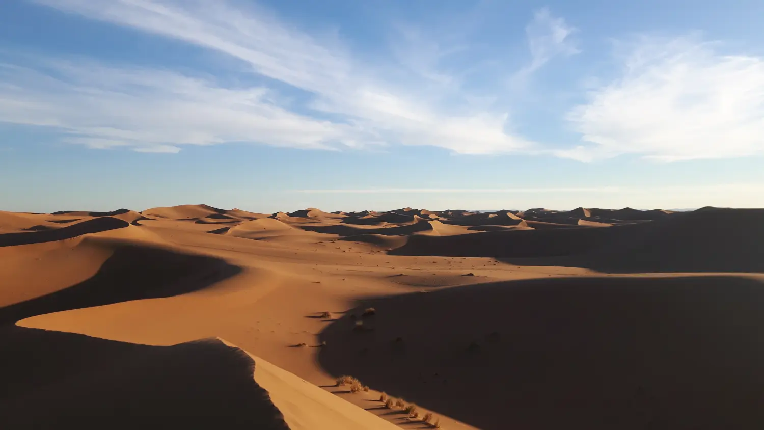Caravane de Rêve – Höhepunkte der Tour durch Marrakesch