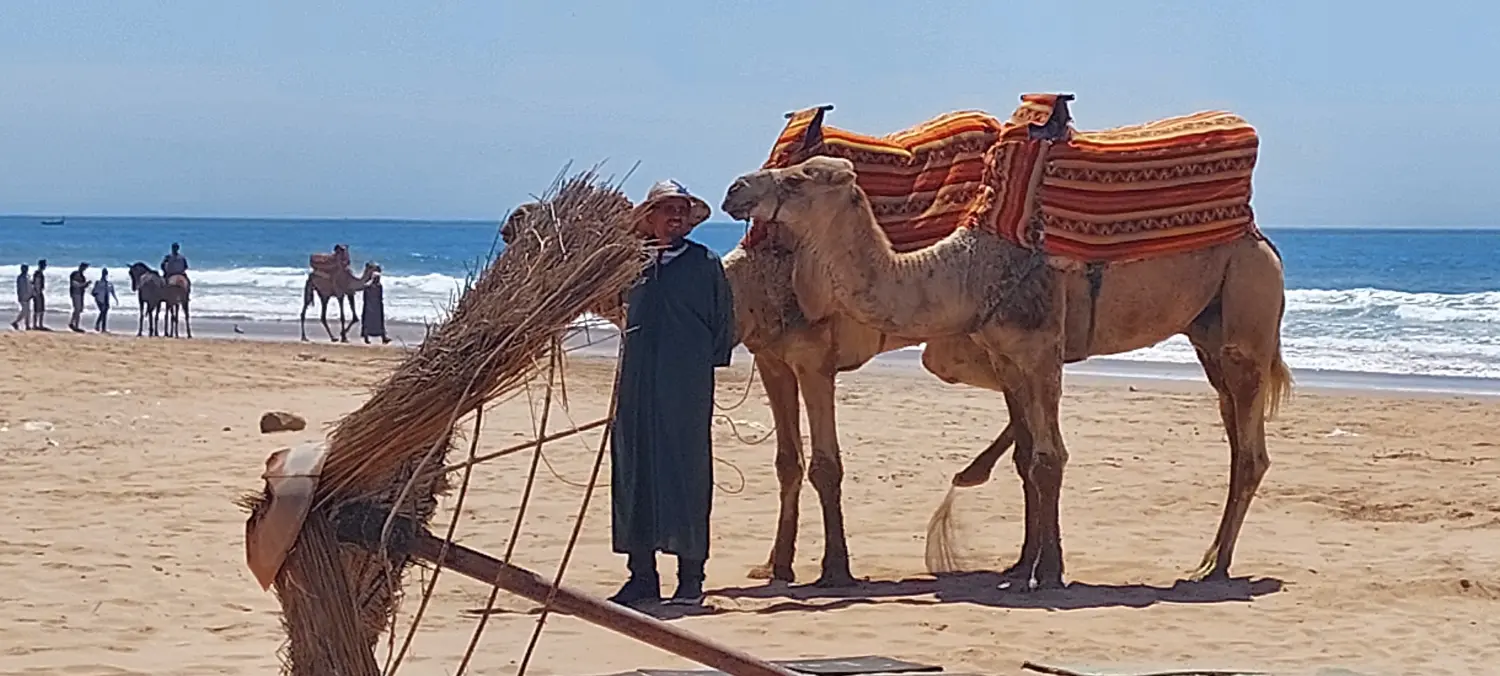 Caravane de Rêve – Tour zu den Höhepunkten der Wüste