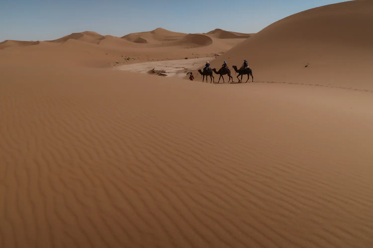 Caravane de Rêve – Tour zu den Höhepunkten der Wüste