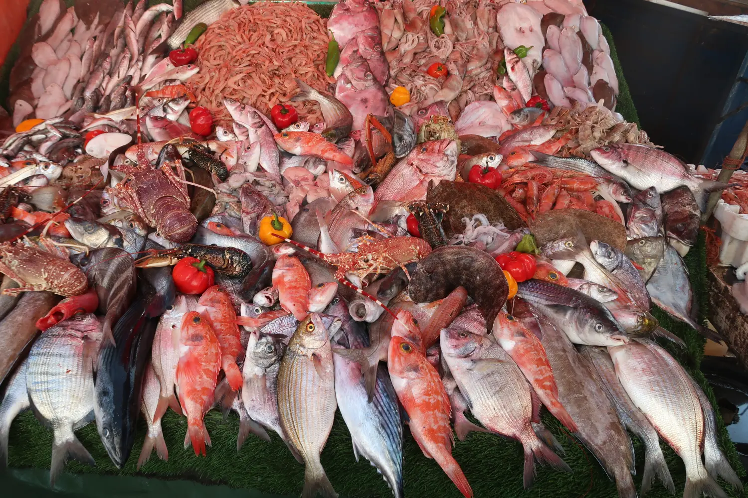 Caravane de Rêve – Tour zu den Höhepunkten der Wüste