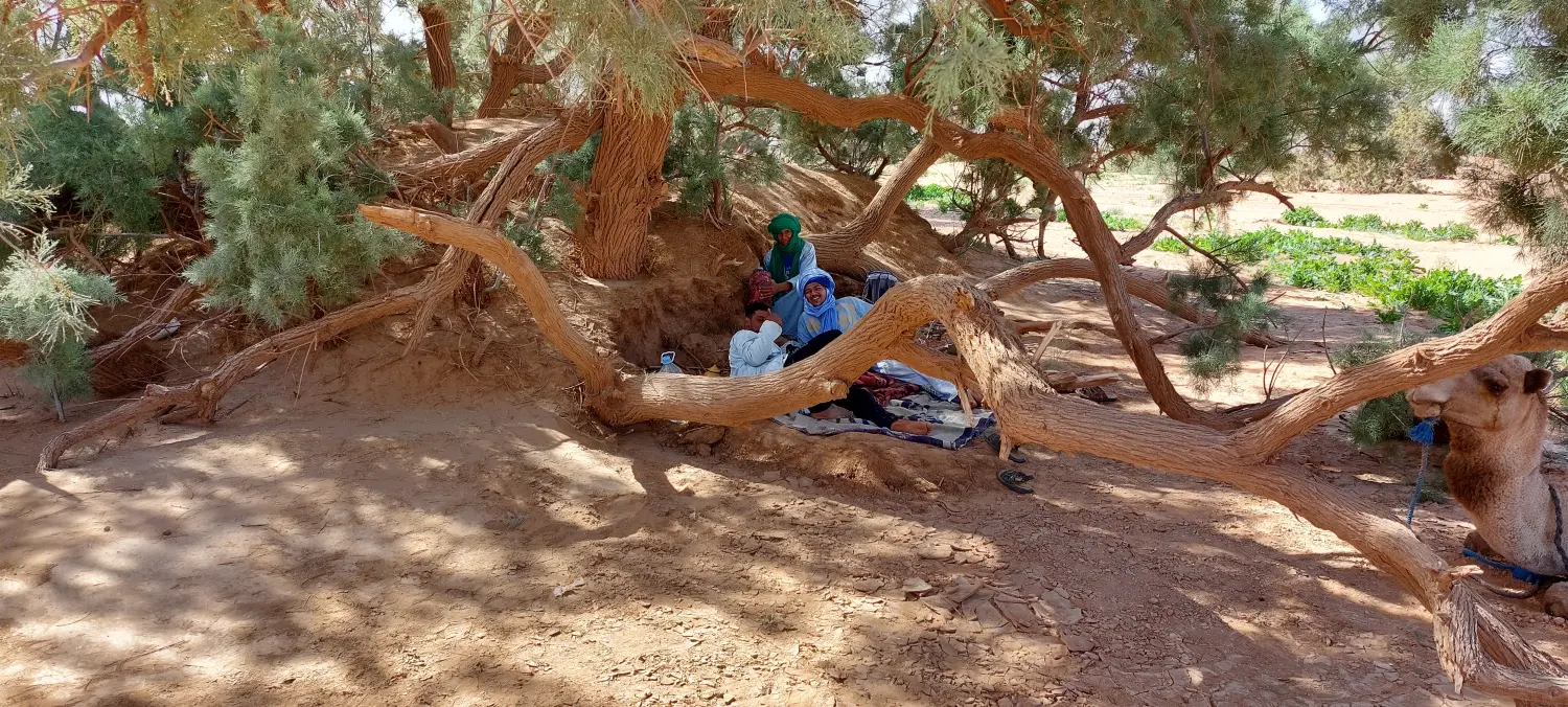 Caravane de Rêve – Wüstentraum-Tour 2 (4 Tage / 3 Nächte)