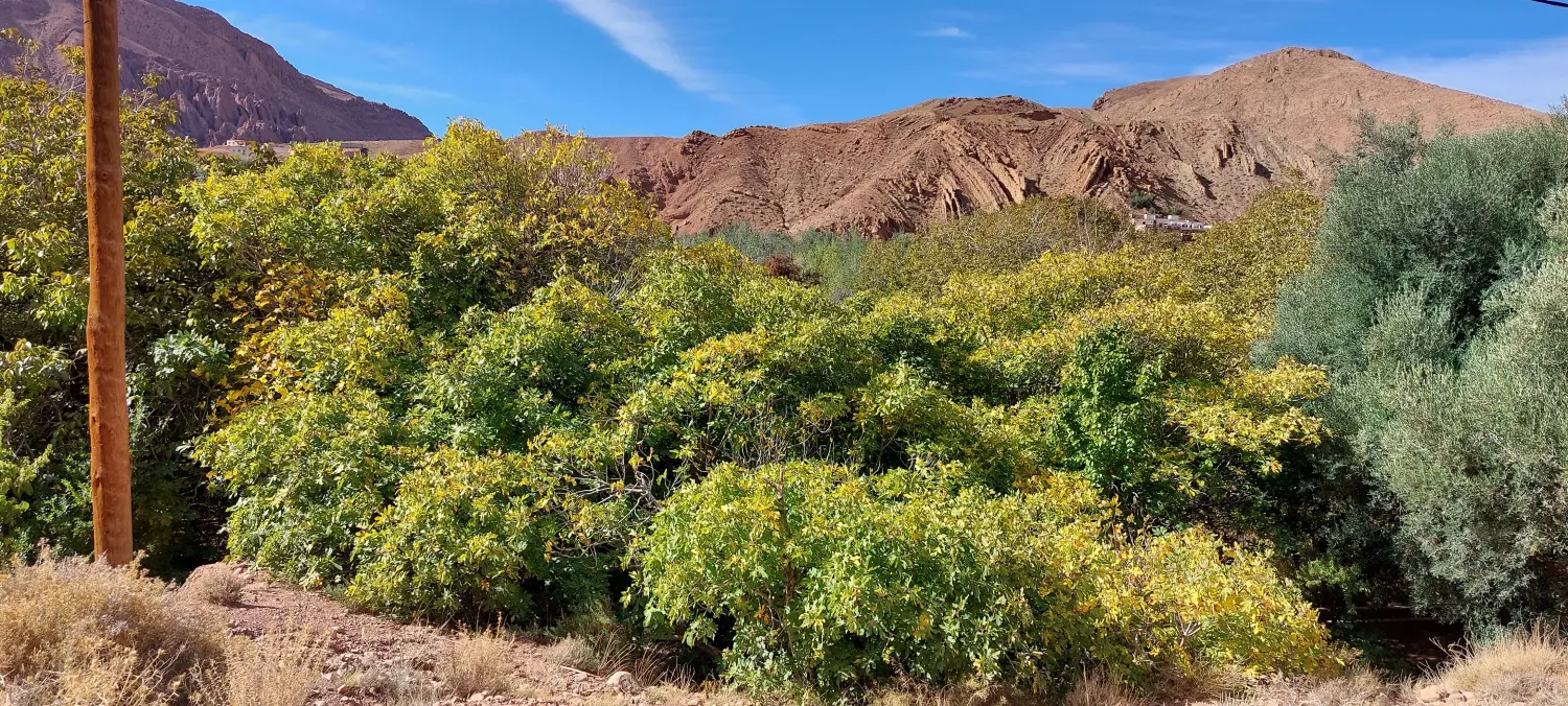 Caravane de Rêve – Tour zu den Höhepunkten der Wüste