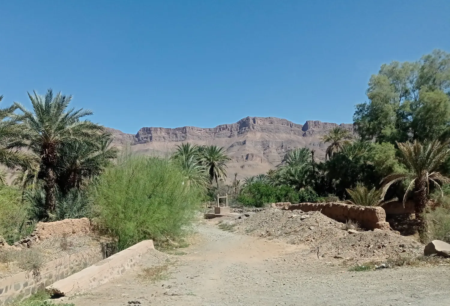 Caravane de Rêve – Tour zu den Höhepunkten der Wüste