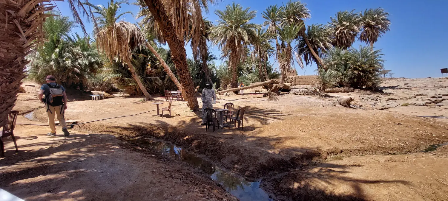 Caravane de Rêve – Tour zu den Höhepunkten der Wüste