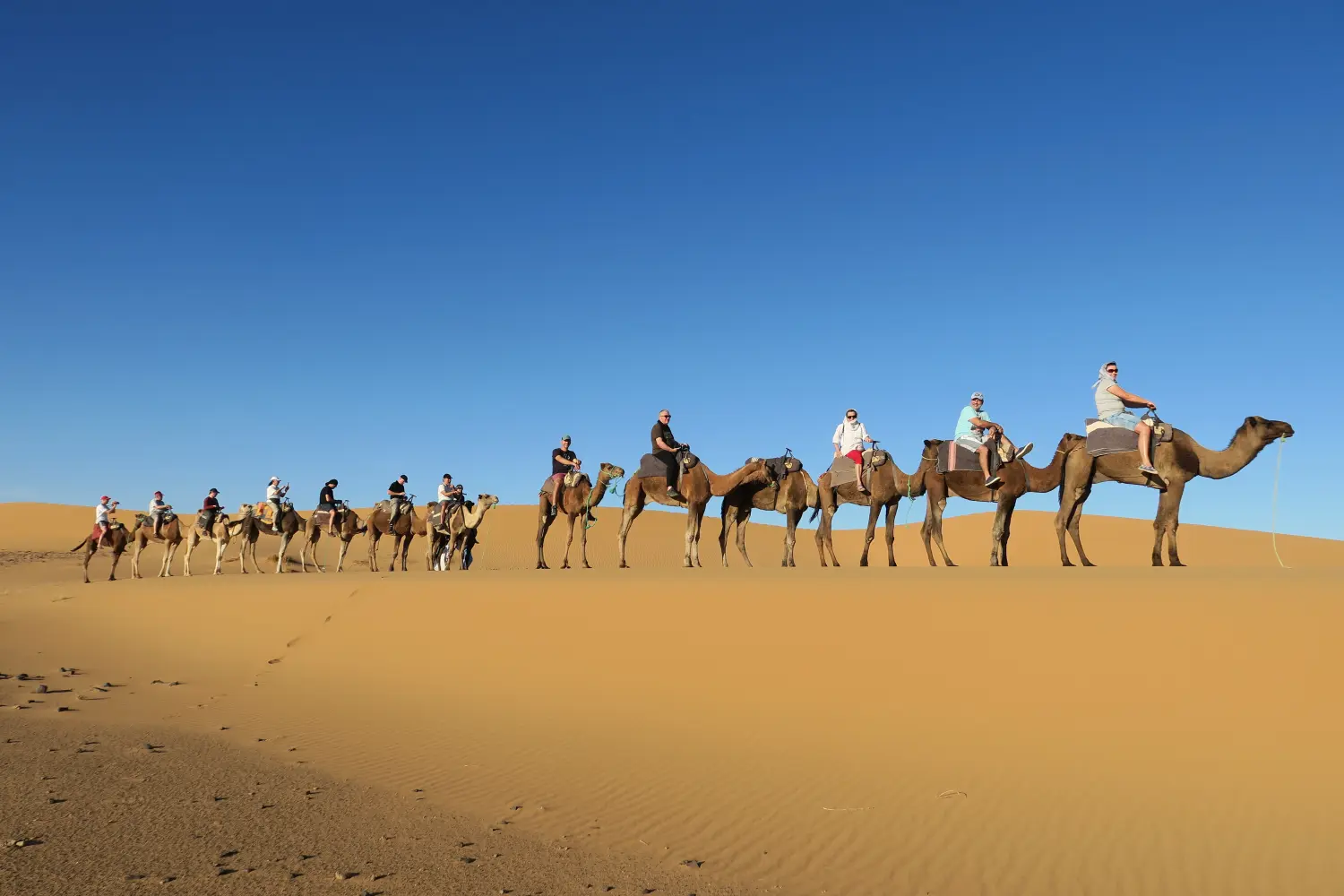 Caravane de Rêve – Kamelsafari durch die Wüste