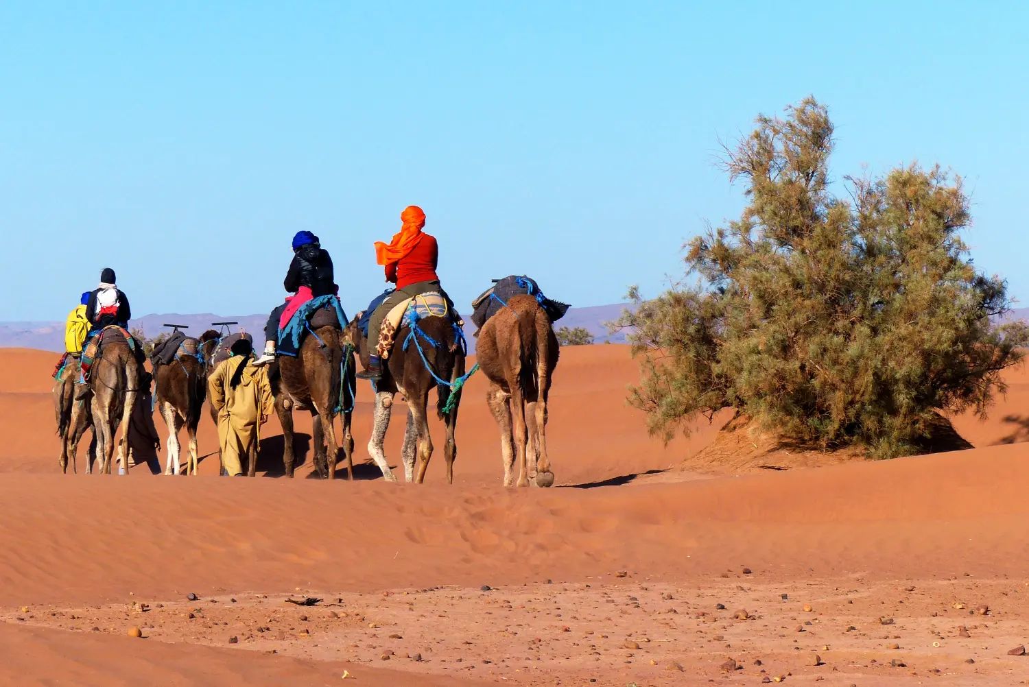Caravane de Rêve – Höhepunkte der Tour durch Marrakesch