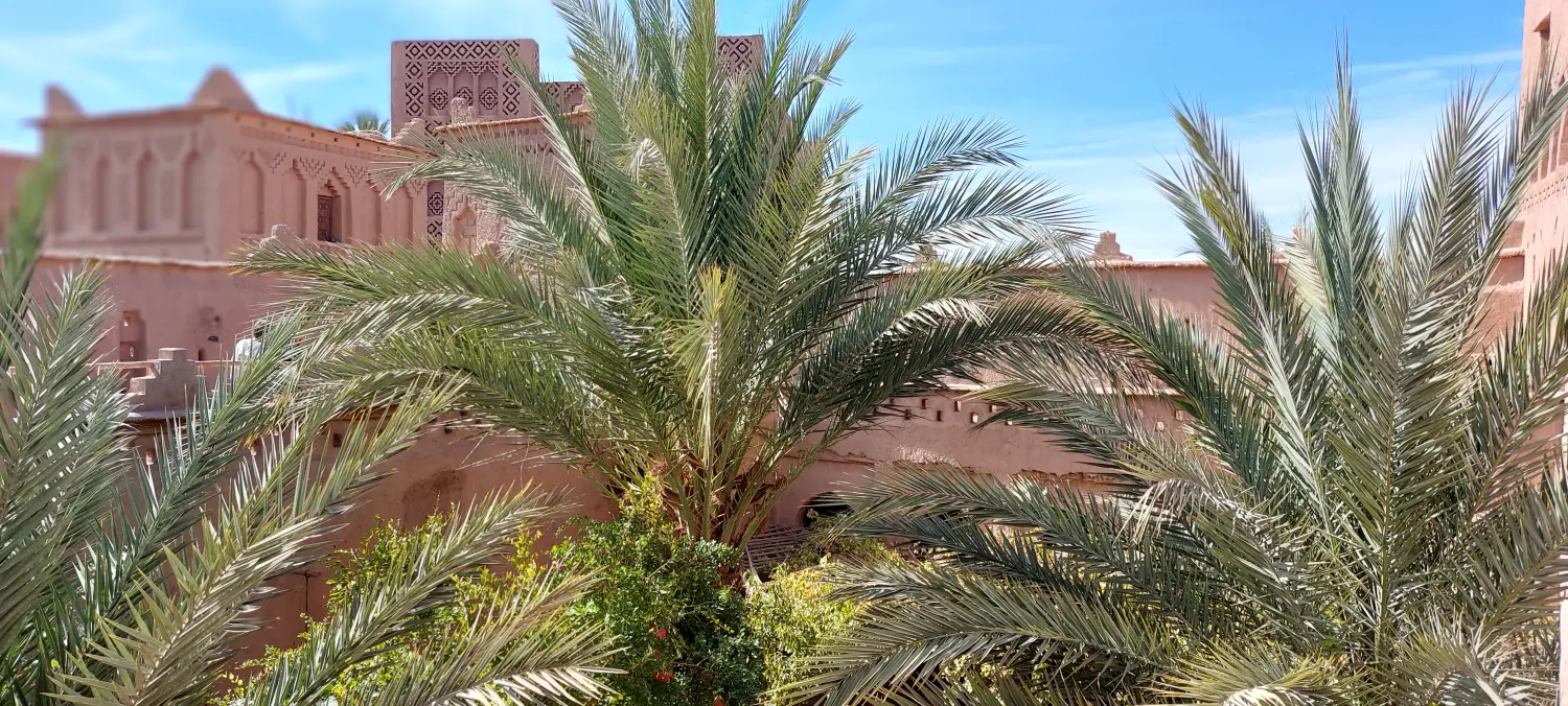 Caravane de Rêve – Tour zu den Höhepunkten der Wüste