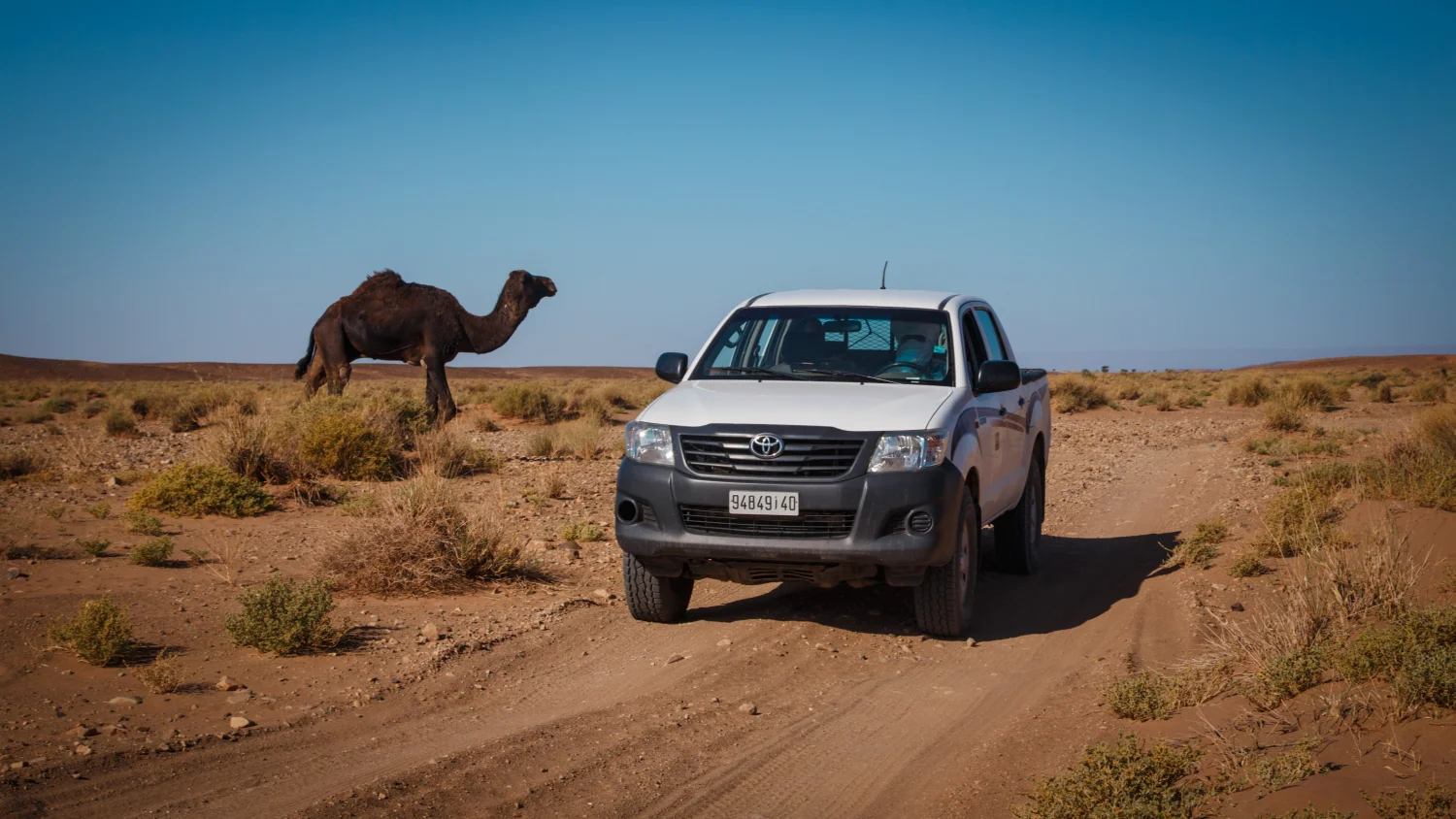 Caravane de Rêve – Wüstentouren durch den Süden Marokkos –Kameltrekking in der Sahara