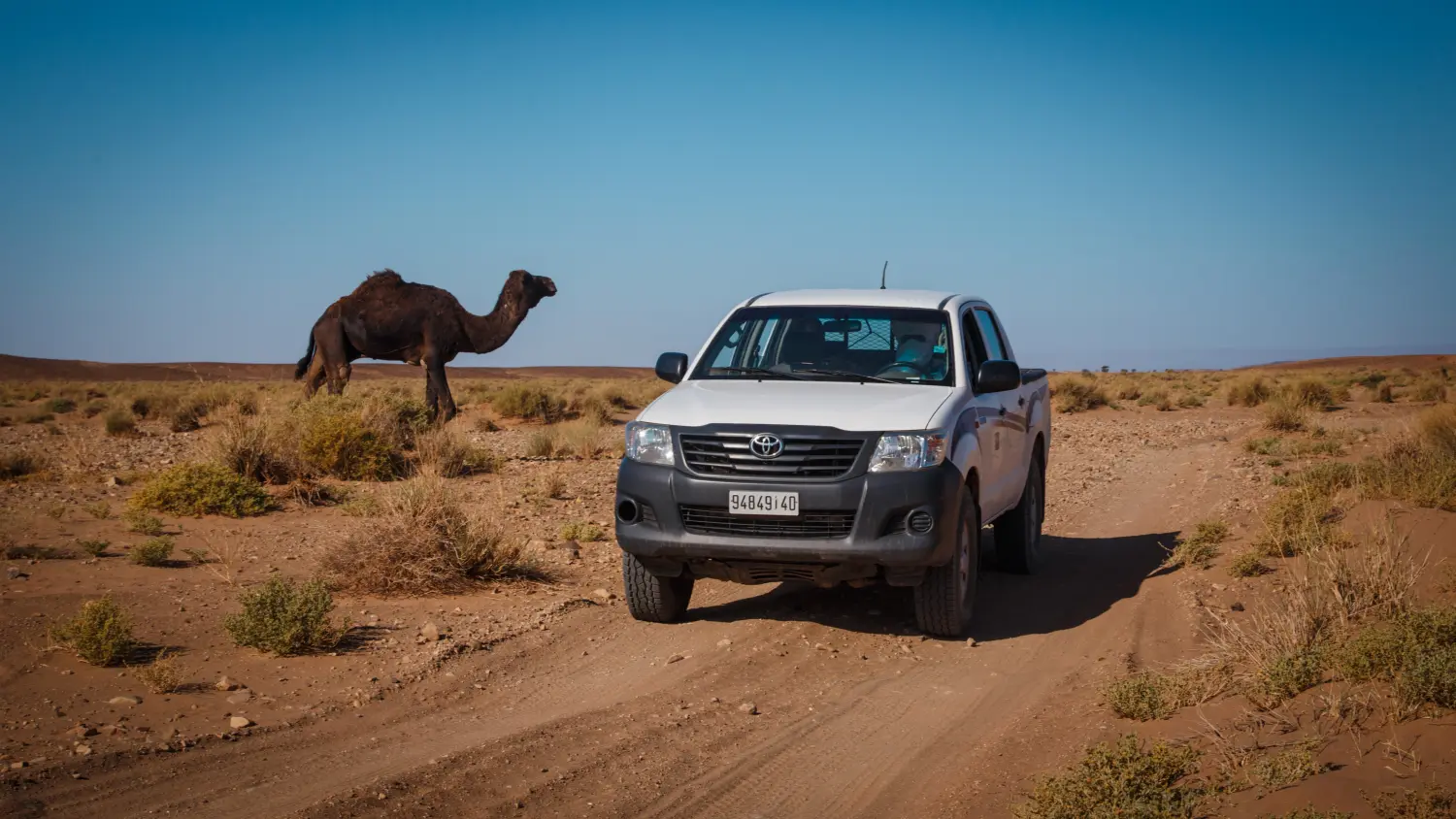 Caravane de Rêve – Wüstentraum-Tour 3 (2 Tage / 1 Nacht)