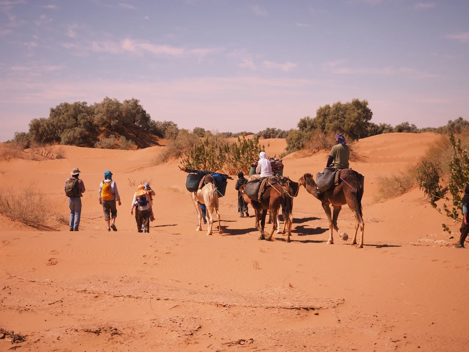 Caravane de Rêve – Wüstentouren durch den Süden Marokkos –Kameltrekking in der Sahara
