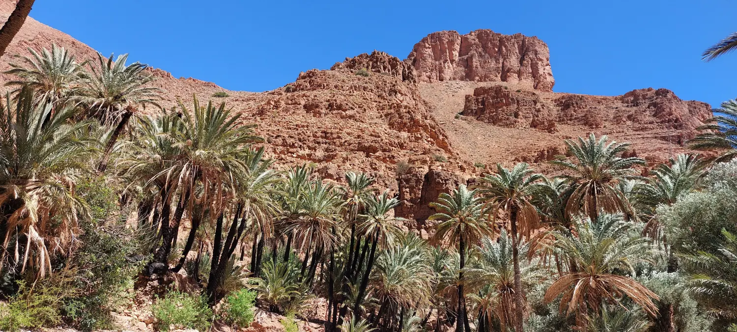 Caravane de Rêve – Tour zu den Höhepunkten der Wüste