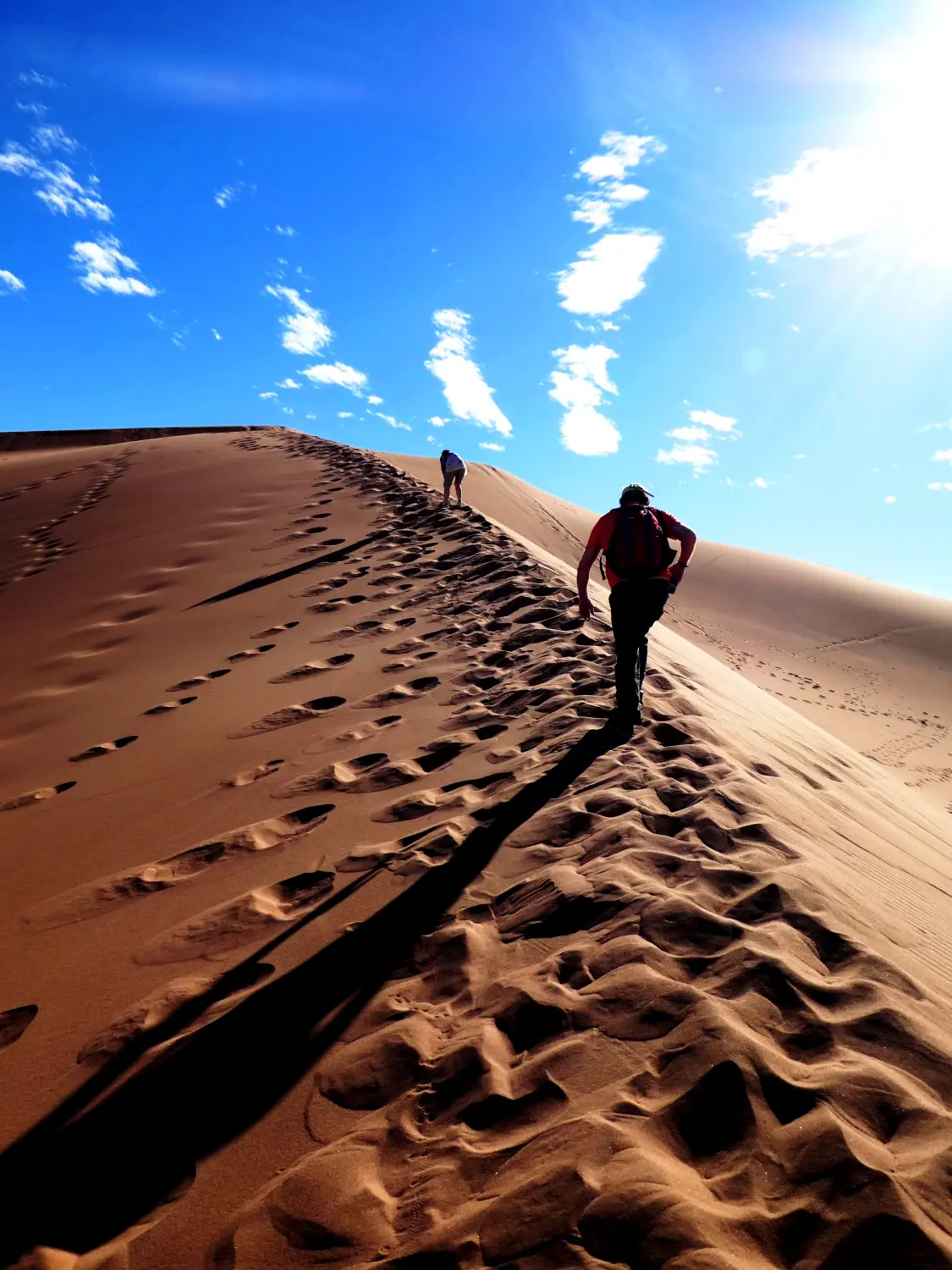 Caravane de Rêve – Wüste