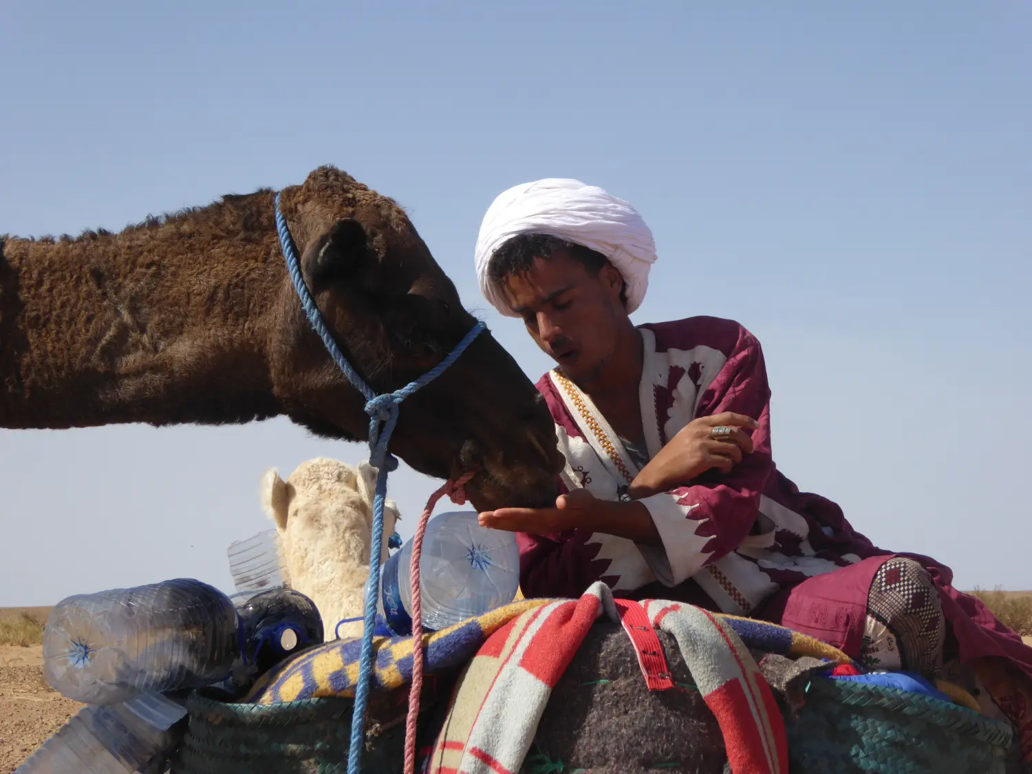 Caravane de Rêve – Höhepunkte der Tour durch Marrakesch