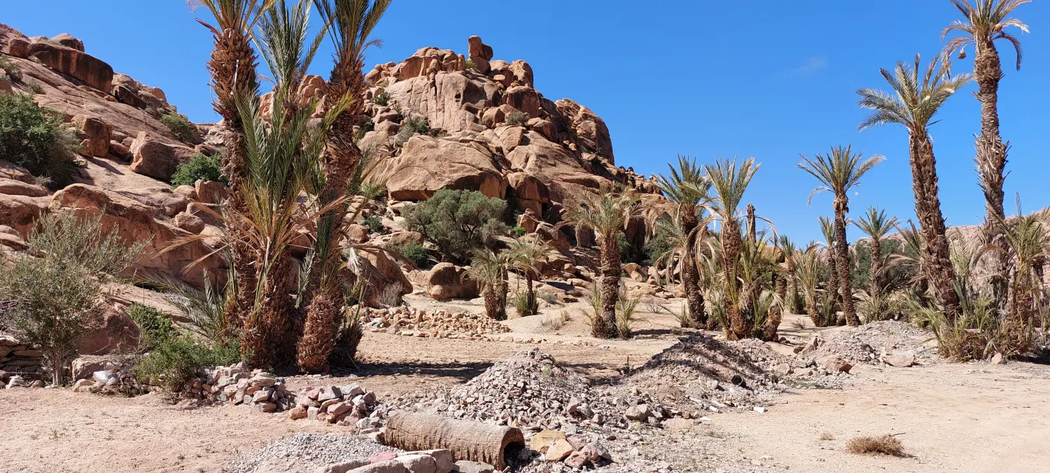 Caravane de Rêve – Tour zu den Höhepunkten der Wüste