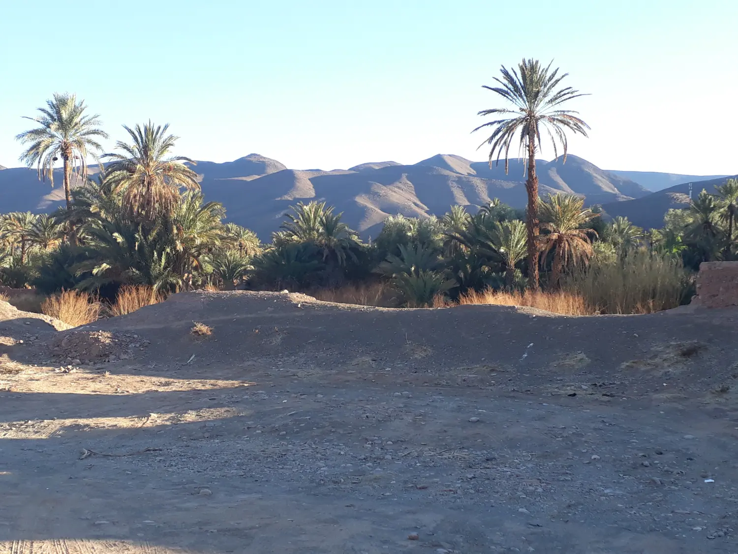 Caravane de Rêve – Wüste