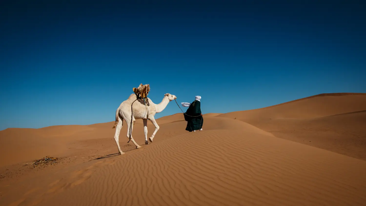 Caravane de Rêve – Wüstentouren ab Ouarzazate