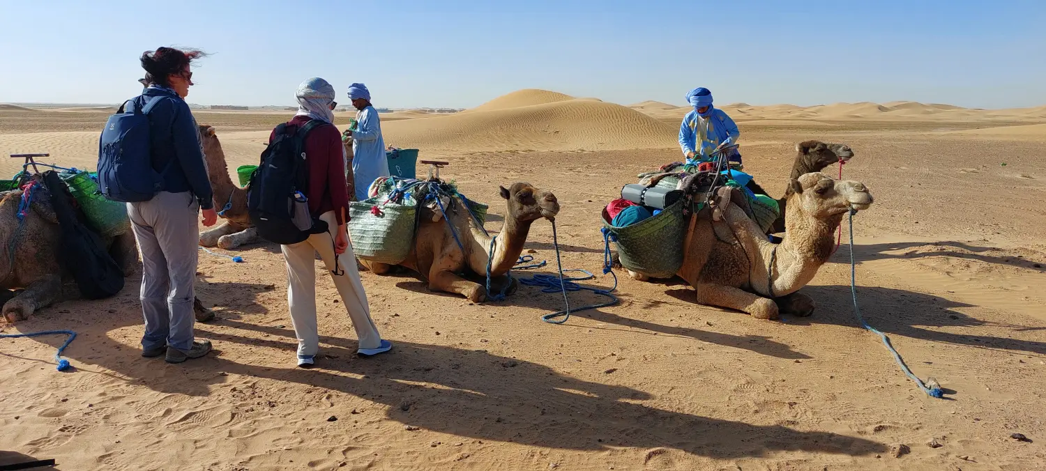 Caravane de Rêve – Wüstentouren ab Ouarzazate