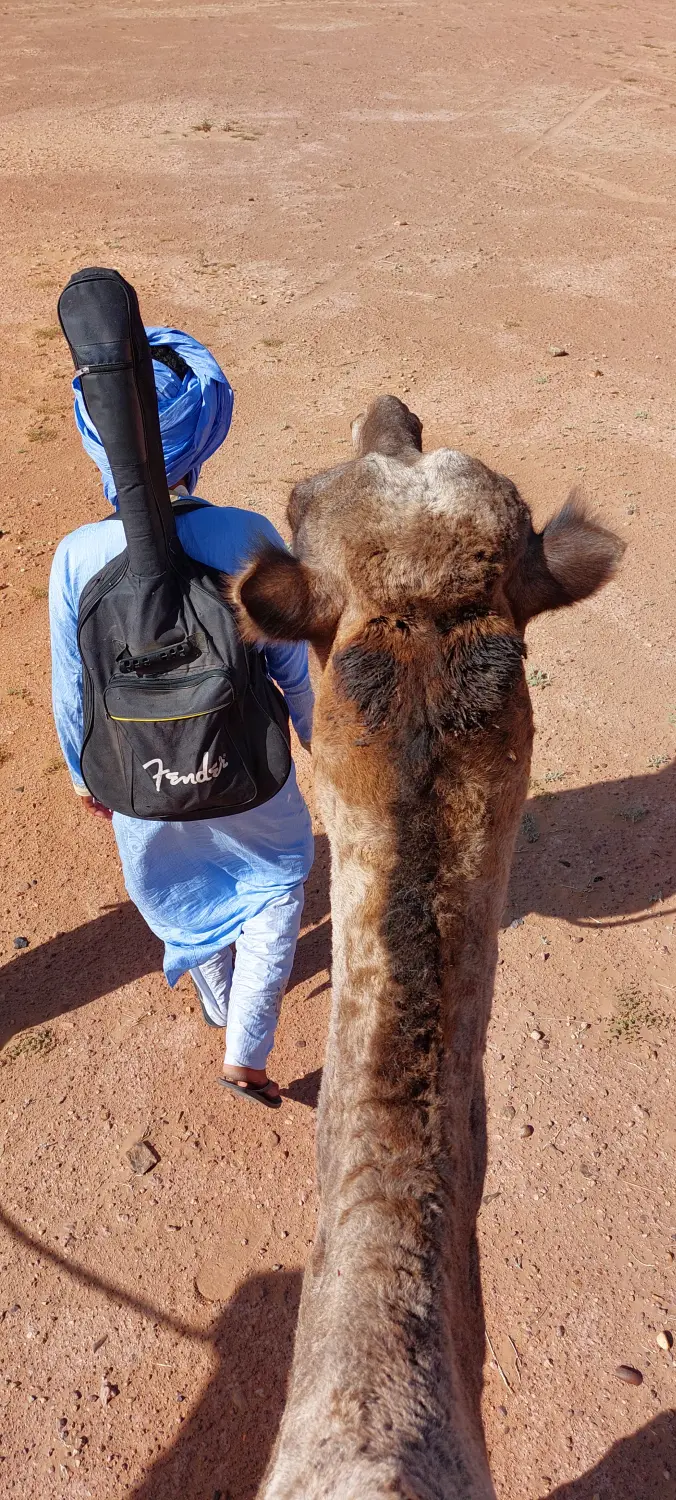 Caravane de Rêve – camel with man