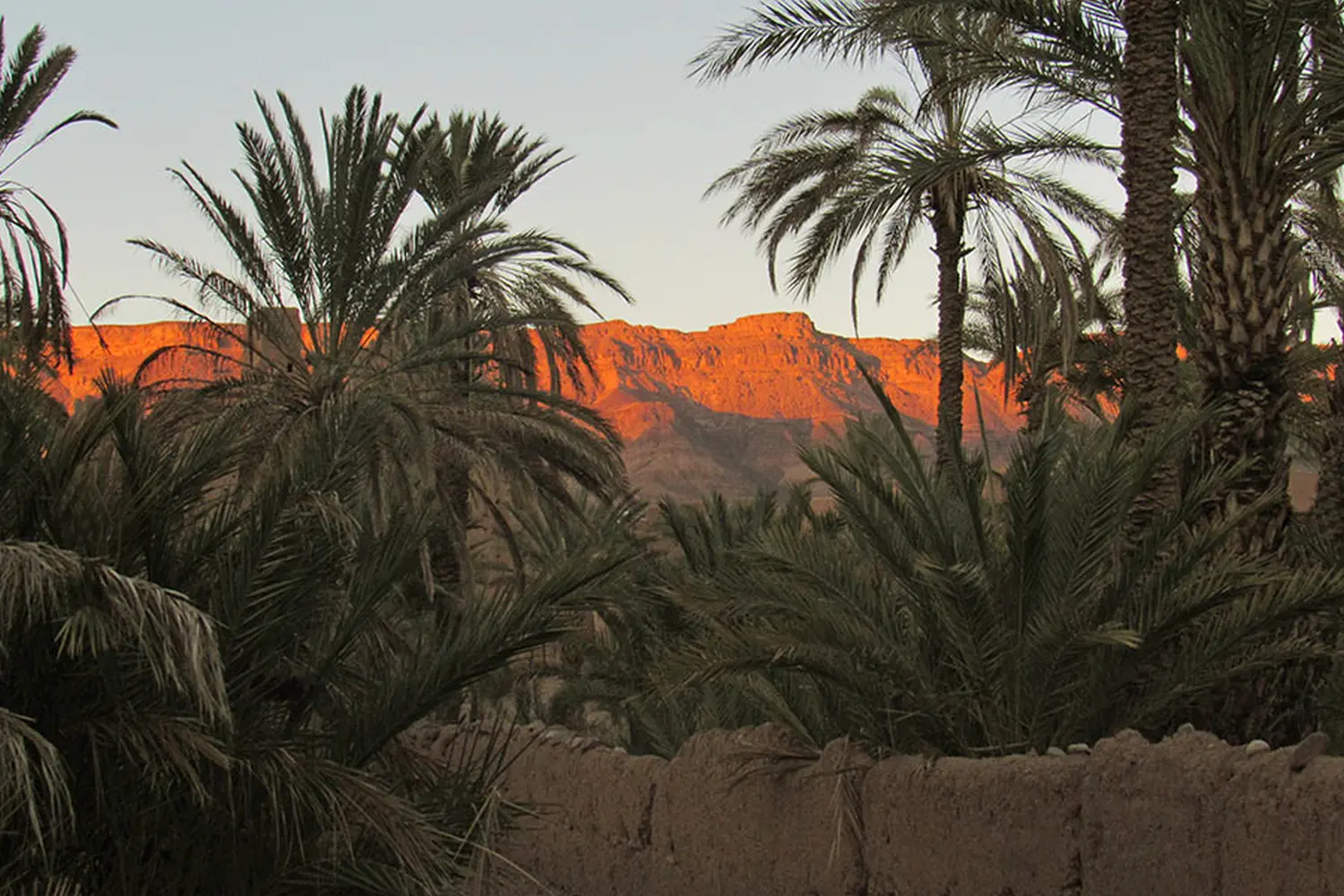 Caravane de Rêve – Wüstentouren ab Ouarzazate
