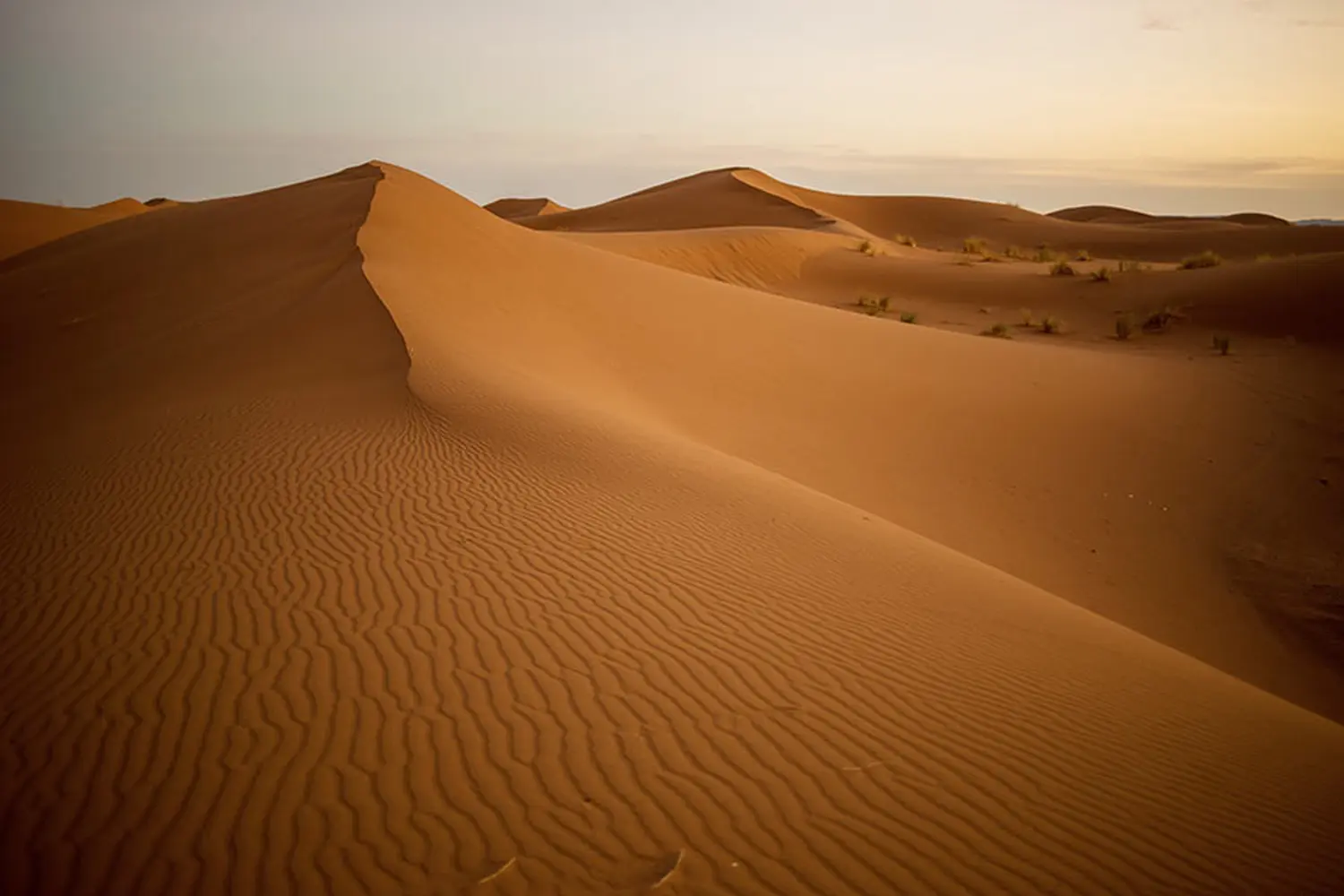 Caravane de Rêve – Wüste