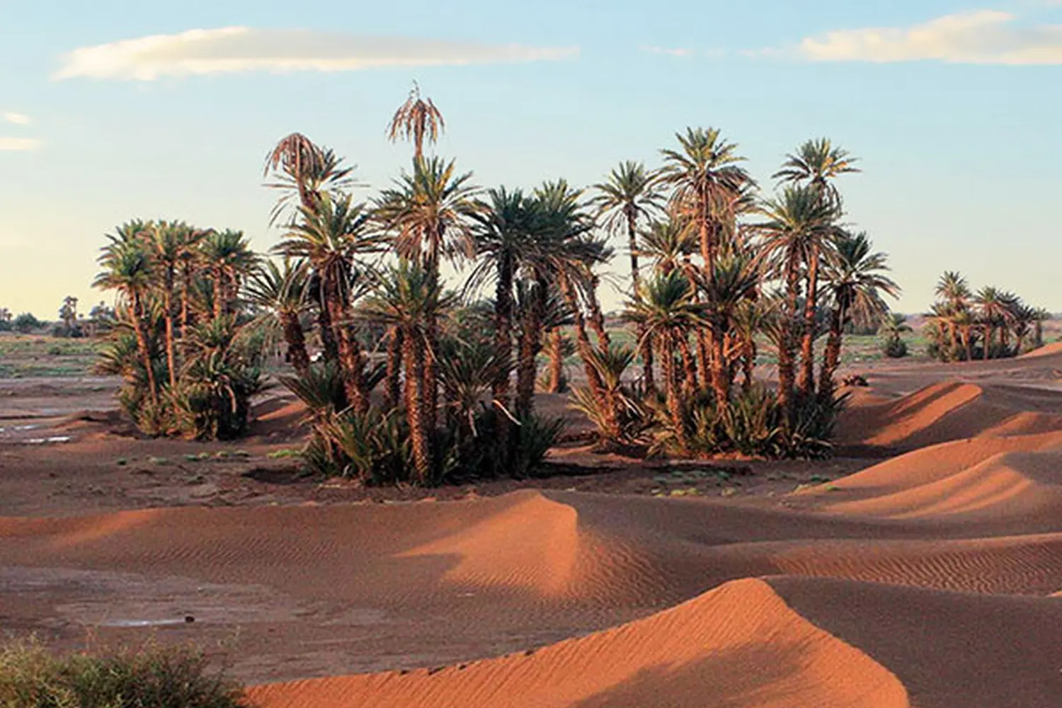 Caravane de Rêve – Höhepunkte der Wüstentouren ab M’Hamid