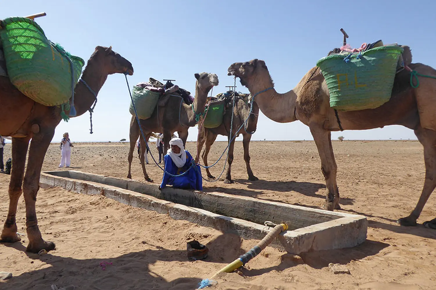 Caravane de Rêve – Wüstentouren ab Ouarzazate