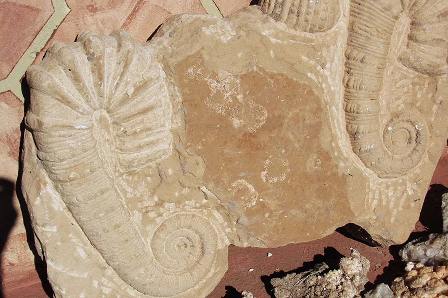 Caravane de Rêve – Höhepunkte der Wüstentouren ab Fès