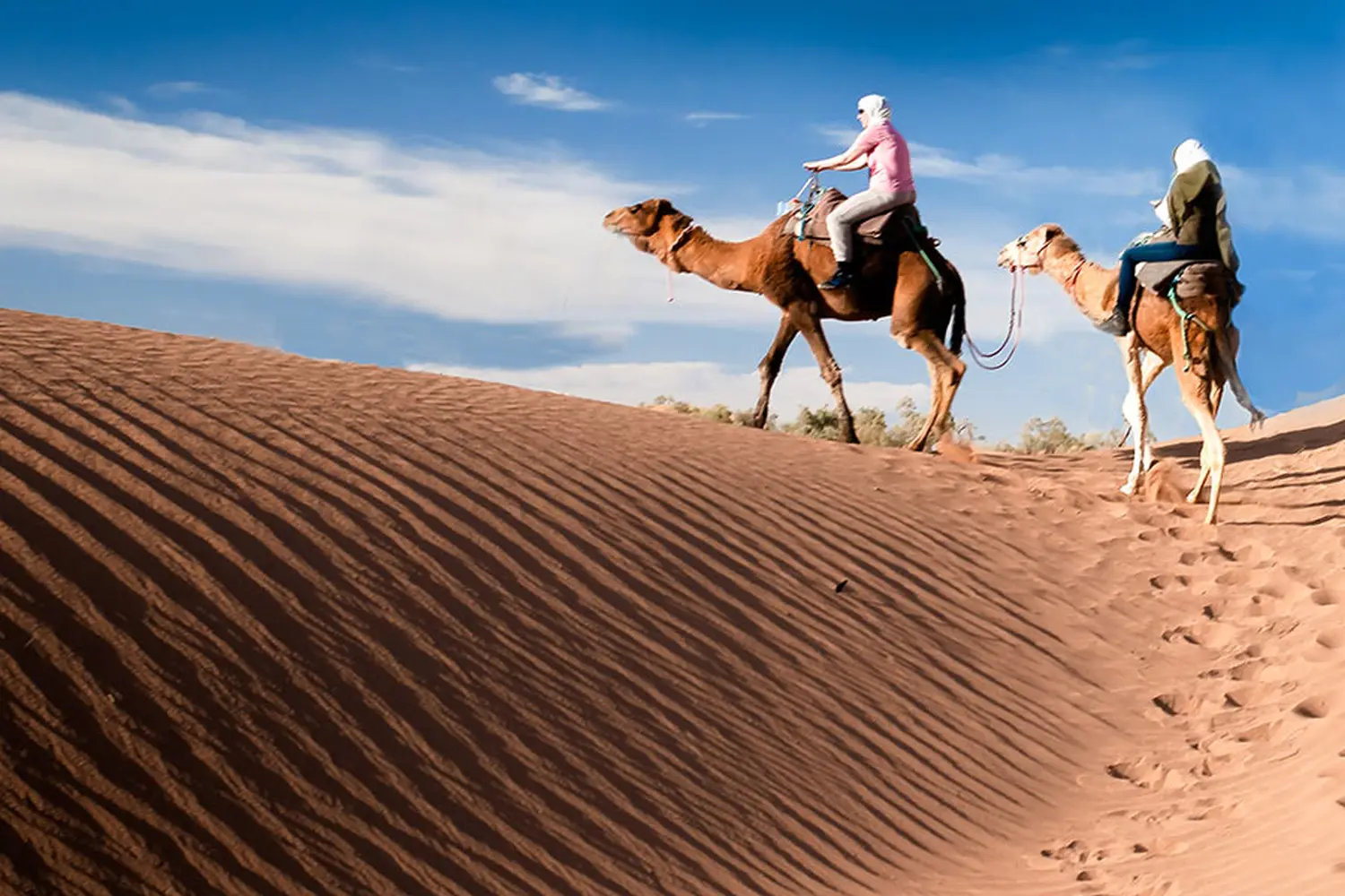 Caravane de Rêve – Höhepunkte der Wüstentouren ab M’Hamid