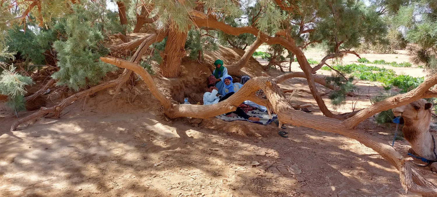 Caravane de Rêve – Wüstentouren ab Ouarzazate