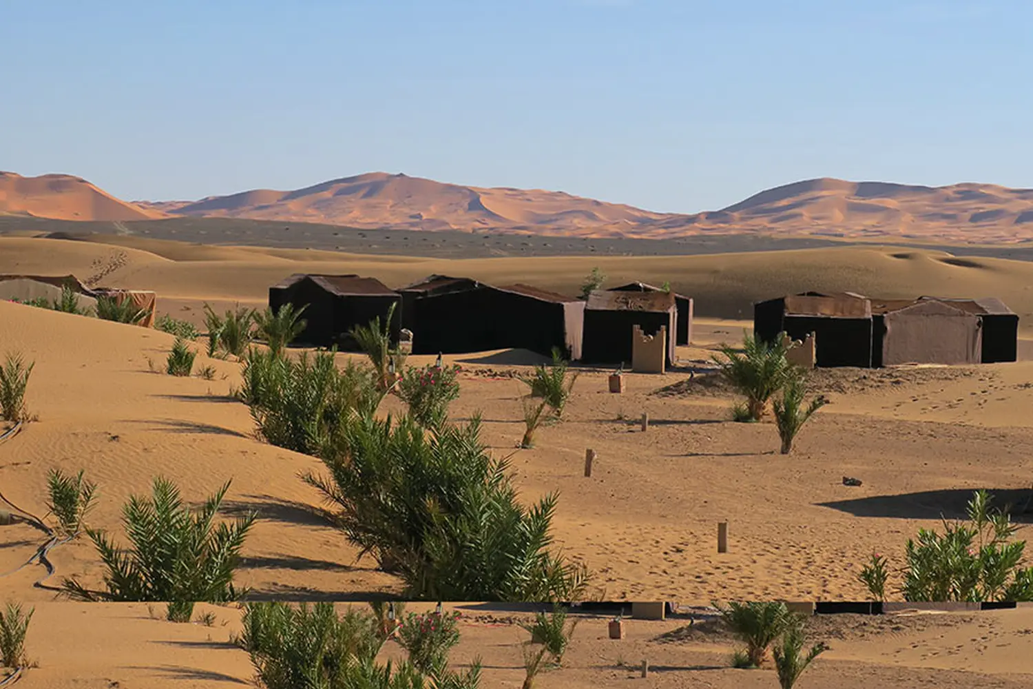 Caravane de Rêve – Höhepunkte der Wüstentouren ab Fès